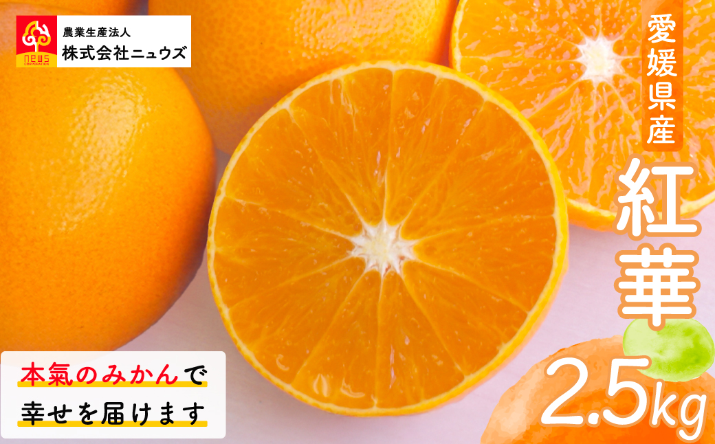 【先行予約】紅華（生果）約2.5kg（2025年12月上旬より順次発送） IKTF014