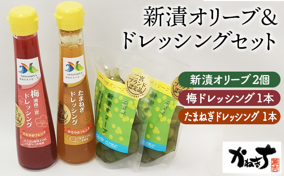 新漬オリーブ＆ドレッシングセット【かねきち】 No.075