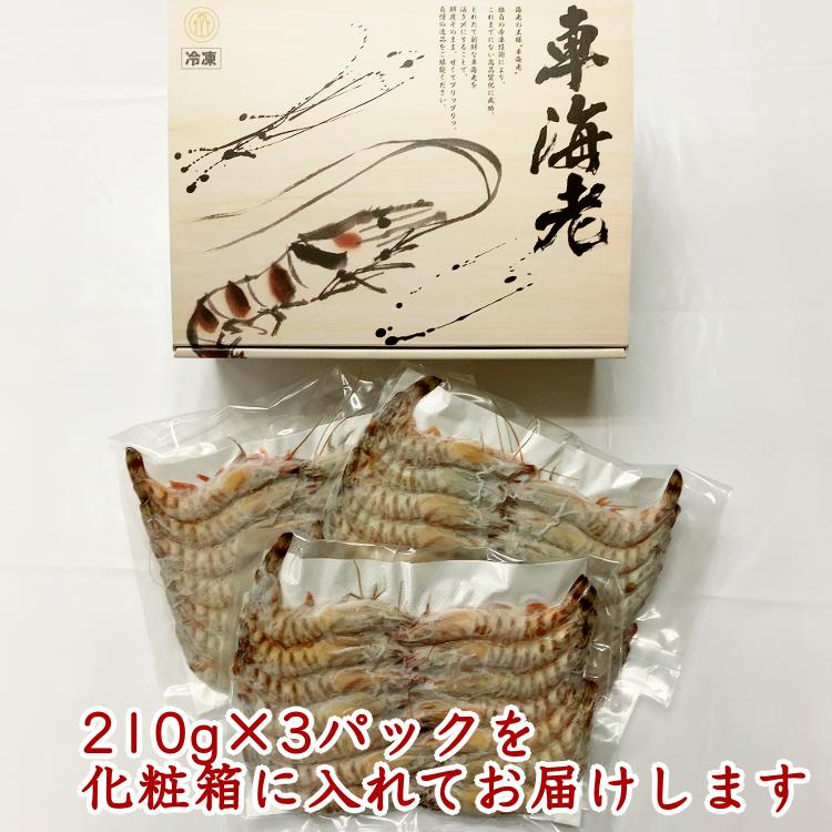 ミニ・ 車えび （ 生食用 冷凍 ・化粧箱入り）210g×3パック　NFN364  【500pt】