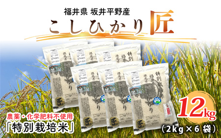 【令和7年産】特別栽培米 コシヒカリ匠 12kg (2kg × 6袋)（玄米）栽培期間中農薬不使用 / コシヒカリ こしひかり 白米 お米 [F-2923_02]