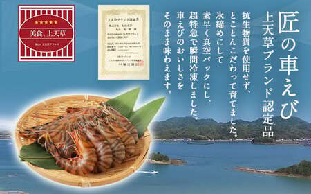 【上天草ブランド認証品】 匠の車えび【活き締め急速冷凍】300g(9尾～12尾)