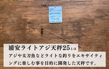 船釣り天秤(浦安ライトアジ25) 2本セット| フィッシング 釣り 釣り アウトドア 釣具 釣具 釣り餌 船釣り 天秤 アジ アジ 釣り ライトアジ アジ釣り 船釣り天秤 浦安ライトアジ25 海釣り 