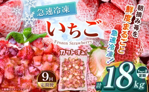 【栃木県共通返礼品】【定期便9回】冷凍いちご 2kg | 定期便 いちご とちあいか 冷凍 冷凍イチゴ スイーツ ジャム スムージー たっぷり 大粒  甘い 美味しい 果物 デザート 栃木県 那珂川町 送料無料