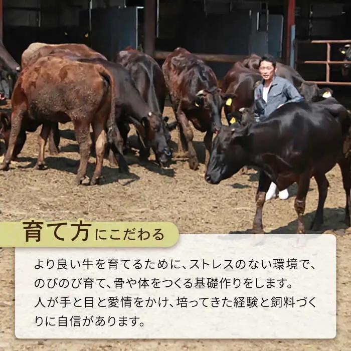 長崎県産和牛 切り落とし 1kg / 肉 牛肉 ぎゅうにく 切り落とし きりおとし 国産 和牛切り落とし 切り落とし和牛 小間切り落とし 小間切れ 冷凍 すき焼き しゃぶしゃぶ 小分け牛肉 焼き肉 焼
