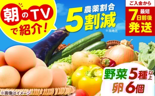 朝のTV番組で紹介された！旬のお野菜＆平飼い卵セット 詰合せ 詰め合わせ 新鮮 産地直送 おまかせ やさい 野菜セット 大阪府高槻市/ベジ彩ファーム [AOEJ004] 朝のTVで紹介 旬の野菜セット 新鮮野菜 卵 たまご 平飼い卵 やさいセット 家庭用 食材セット サラダ料理 煮物 炒め物 健康志向 ギフト 贈答用 お取り寄せグルメ 栽培 栄養満点 家庭料理