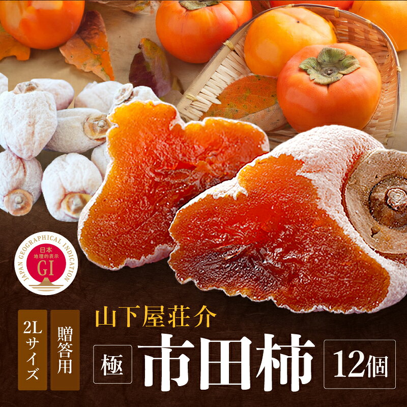 【ふるさと納税】 市田柿 信州 の 特産品 市田柿 極 贈答用 2Lサイズ 12個入 〈2026年1月上旬〜2月下旬発送〉| 果物 くだもの フルーツ 柿 干し柿 かき 長野県 信州 南信州 飯田市 B22