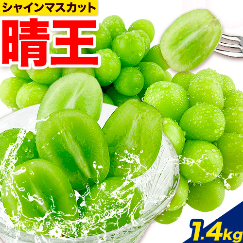 ぶどう【2026年先行予約】シャインマスカット 晴王 2房 1.4kg 岡山県産《2026年9月上旬-10月末頃出荷(土日祝除く)》 ハレノフルーツ マスカット 送料無料 岡山県 浅口市 フルーツ 果物 贈り物 ギフト 国産 岡山県産 くだもの 青果物 【配送不可地域あり】