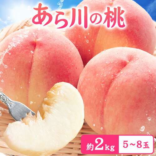 【先行予約】【ふるさと納税】あら川の桃 約2kg (5-8玉) 山嵜農園《2025年6月中旬-8月中旬頃出荷》和歌山県 紀の川市 桃 もも モモ あら川 フルーツ 果物