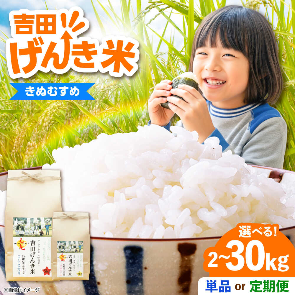 【ふるさと納税】米 「吉田げんき米」きぬむすめ 定期便あり 選べる 内容量 2kg 5kg 10kg《内容量/お届け回数をお選びください》島根県 雲南市/有限会社藤本米穀店｜米 白米 精米 国産 お米 おこめ お弁当 おにぎり きぬ娘 キヌムスメ[AIDB128]