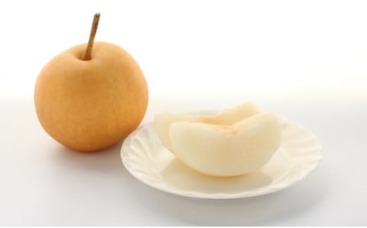 ＜佐川のフルーツ・野菜 定期便（全５回）＞　いちご 苺 冷凍ブルーベリー フルーツトマト 梨