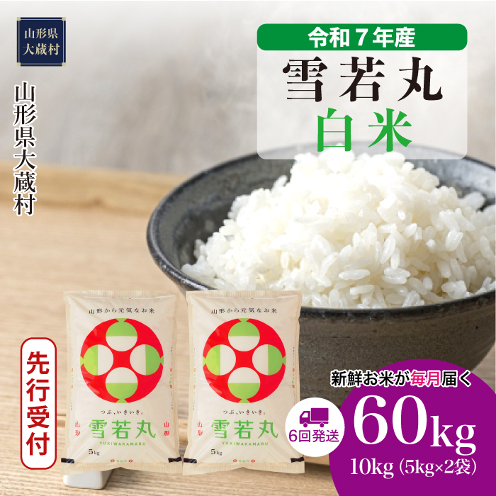 ＜令和7年産米先行受付＞ 大蔵村産 雪若丸 【白米】60kg定期便(10kg×6回)　配送時期指定できます！