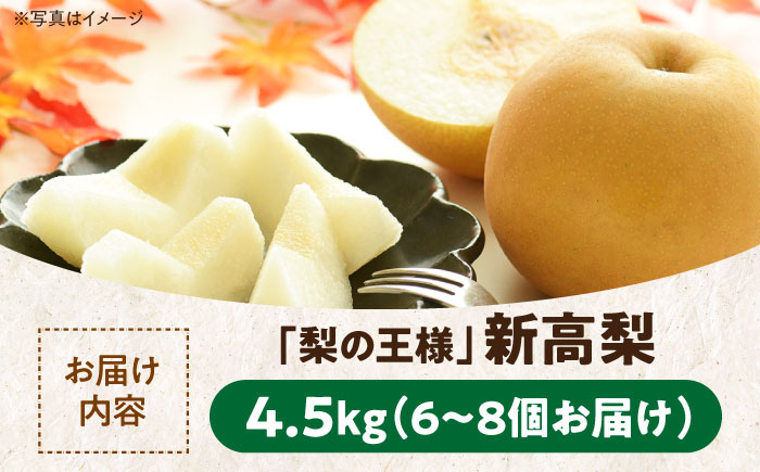 【先行予約】【10月上旬から順次発送】「梨の王様」特大新高　梨4.5kg（6個から8個入り）　愛媛県大洲市/幸野観光なし園 [AGBD002] 梨 果物 秋の味覚 フルーツ なし  おやつ かおり 朝