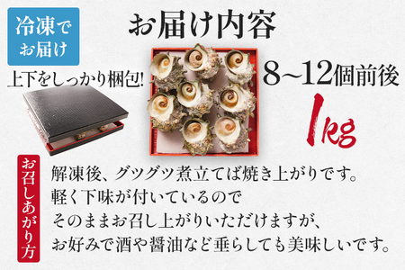 玄界灘産 サザエのつぼ焼き 1kg（約8～12個前後）BBQ 下処理済 ボイル済 下味付 温めるだけ フライパン トースター 海鮮 海の幸 魚介 壺焼き 貝 海産物 冷凍 バーベキュー 殻付き 煮付け