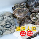 【ふるさと納税】【予約商品】牡蠣 詰め合わせ 殻付き 15個 むき身 500g 広島県産 新鮮 全国配送 濃厚リピート【配送不可：離島】【配送時期：1月上旬〜3月下旬】