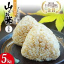 【ふるさと納税】大わらじの里 宮谷 山のお米 玄米 5kg [宮谷営農組合瑞穂ファーム 高知県 津野町 26aq0005] お米 こめ コメ ごはん