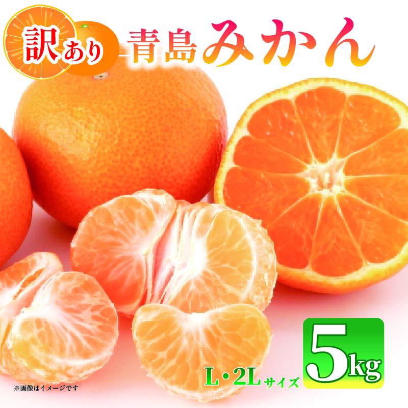 【ふるさと納税】 【先行予約：2026年1月上旬より発送】 訳あり みかん 5kg L～2L 青島 ミカン 果物 国産 フルーツ 柑橘 数量限定 静岡県産 マルチ栽培 蜜柑 大小 ミックス 不揃い ビタミン 美味しい 静岡県 藤枝市 ふるさと人気