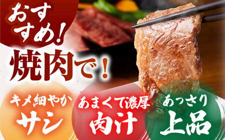 【全国有数のブランド牛】佐賀牛 上ロース（焼肉用） 500g 【がばいフーズ】[HCS094]