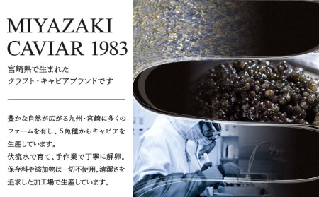  宮崎キャビア1983 20g 国産キャビア 無添加 高級 ギフト 卵 送料無料 宮崎県宮崎市