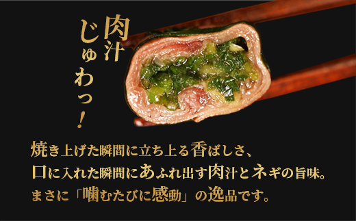 【お肉ソムリエ厳選】 塩タンネギ包み 8個入 30g×8個 | 牛たん タン塩 塩タン ネギ 牛 牛肉 ビーフ 塩味 厳選 人気 焼肉 冷凍 小分け ギフト 贈答用 美味しい お勧め おすすめ 熨斗 
