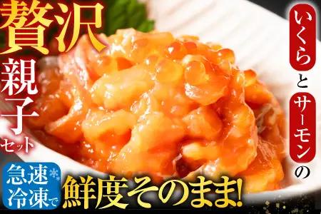 ＜鮭匠ふじい＞いくら・サーモン親子丼の具 C-42012
