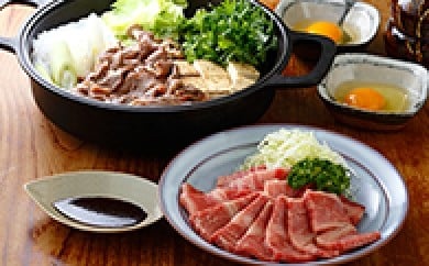 【ふるさと納税】土佐あかうし　すき焼き＆焼肉チョイス　牛肉・お肉・すき焼き・焼肉
