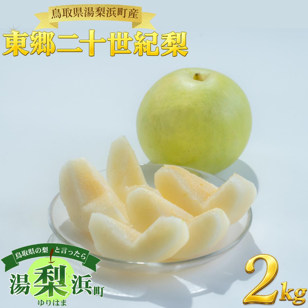 
                  6M.東郷二十世紀2kg
                