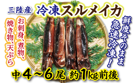  冷凍スルメイカ 中 ４本～６本 （約１kg前後） 