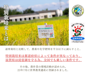 【新米】 コシヒカリ 白米 5kg 縁起の竜王米 令和7年産
