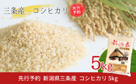 コシヒカリ先行予約 新潟県三条産コシヒカリBL 5kg 令和7年産コシヒカリ 精米 新潟県産コシヒカリ