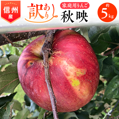 
            2025年!信州のりんご＜秋映＞訳あり　約5kg　家庭用_ りんご リンゴ 秋映 訳あり あきばえ 林檎 約5kg 長野 長野県 信州 果物 くだもの フルーツ デザート おやつ 果実 青果 傷 規格外 わけあり 国産 産直 産地直送 家庭用 自宅用 送料無料 【1230077】
          