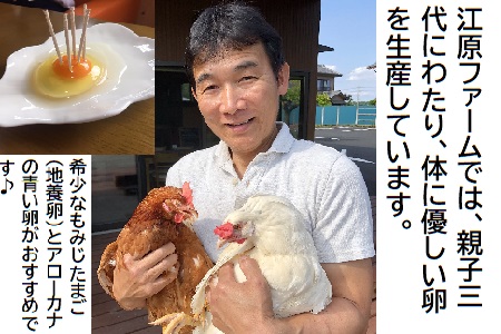 江原ファーム　地養卵＆アローカナハーフセット（計３０個）_AG07〇