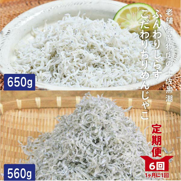 【ふるさと納税】R6-651．【 6回 定期便 】土佐黒潮ふんわりしらす650g・こだわりちりめんじゃこ560g　 高知 四万十 しまんと ちりめんじゃこ ちりめん 食品 お取り寄せ グルメギフト おすすめ 人気 海鮮 魚介 送料無料 【1カ月に1回交互にお届け】（合計3.63kg）