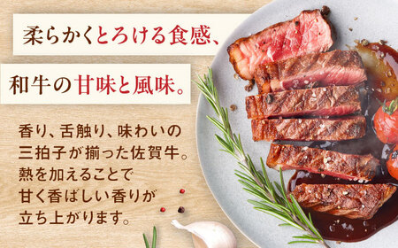 佐賀牛希少部位ステーキ300g（150g×2パック） [41ASAA066]