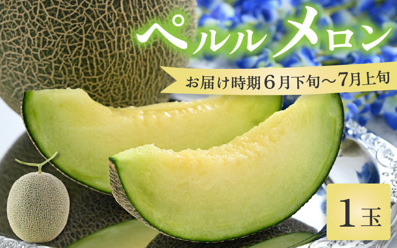 
            【先行予約】ペルルメロン 1玉（約2kg以上）青肉品種 高級メロン！ ／ マスクメロン 大玉 果物 フルーツ ギフト 農家直送 ※2025年6月下旬以降順次発送 [aw065-a006]
          