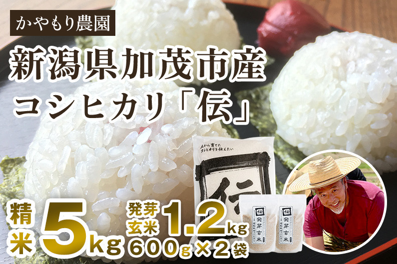 
            【令和6年産米】新潟産コシヒカリ「伝」精米5kgと発芽玄米1.2kg（600g×2）セット かやもり農園
          