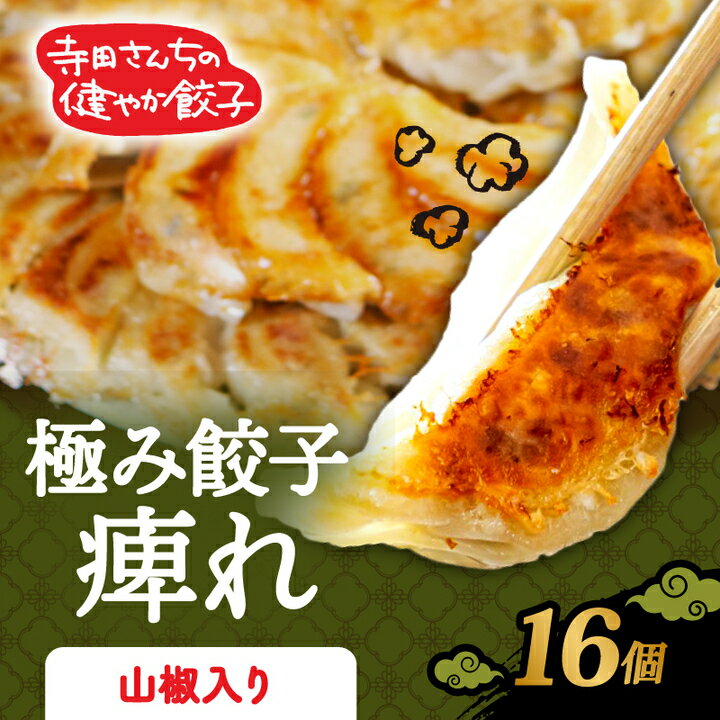 【ふるさと納税】 極み餃子 山椒餃子 痺れ 16個 にんにく 不使用 ヘルシー 冷凍 餃子 ぎょうざ 国産野菜 おから 鶏肉 アボカド ヨーグルト 生餃子 ギョウザ ギョーザ 焼き餃子 水餃子 冷凍餃子 惣菜 夜ご飯 おかず 時短 大阪府 松原市