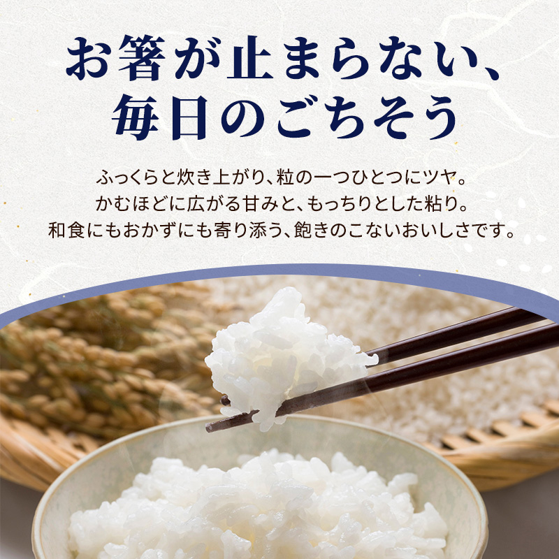 【先行予約】【定期便 6ヶ月】令和8年産 新米 新潟県産 コ