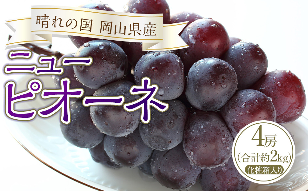 ぶどう 2024年 先行予約 ニュー ピオーネ 4房（合計約2kg） ブドウ 葡萄  岡山県産 国産 フルーツ 果物 ギフト  