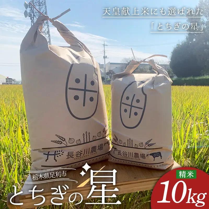 とちぎの星 お米 10kg 米 こめ 食品 農家 贈答 贈り物 ギフト プレゼント 家庭 自宅 栃木県 足利市 F7Z-2502