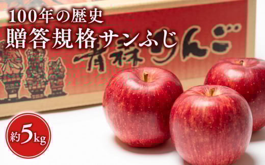 ≪12月発送 ≫ 100年の歴史 贈答規格サンふじ 約5kg【田中農園 青森りんご 平川市産】12月発送  青森 平川 りんご リンゴ 林檎 フルーツ 