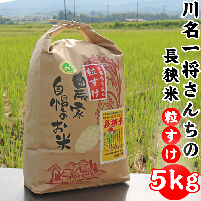 【令和6年産】川名一将さんちの長狭米　長狭米『粒すけ』 5kg [0012-0068]