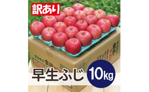 ＜26年10月から順次発送＞平均糖度12度以上! 早生ふじ 約10kg 訳あり 青森県産 りんご【1734951】
