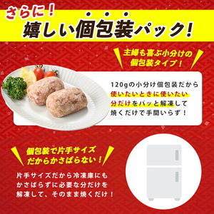 特製 黒豚 ハンバーグ 120g×10個 生 ハンバーグ 岡村商店 IB024-023