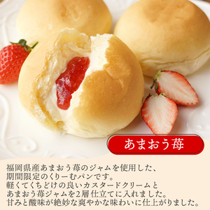 【八天堂】期間限定・先行受付！フルーツくりーむパン10個詰合せ(5種×各2個)  お菓子 おやつ デザート スイーツ 冷凍 2025年5月以降発送 015031