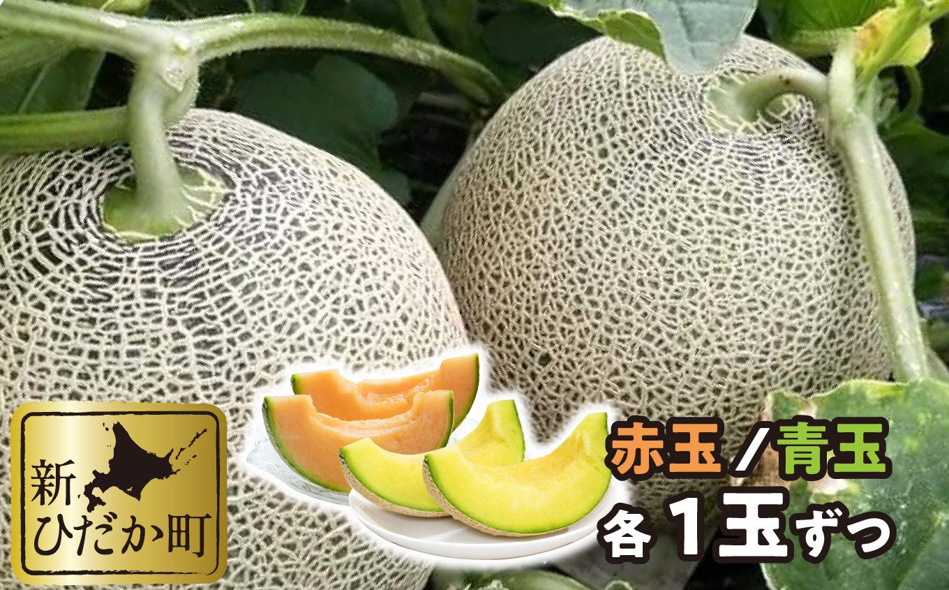 
                  ＜ 2026年7月中旬より発送 ＞ 北海道産 メロン 赤肉 青肉 各1玉 食べ比べ セット 北海道 めろん 果物 フルーツ 旬 贈答 ＜ 予約受付 ＞
                