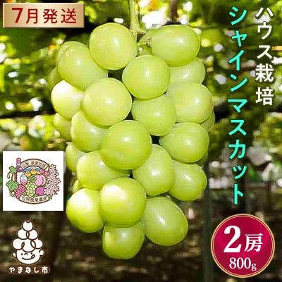 【2026年先行予約】ハウス栽培7月出荷シャインマスカット(2房約800g)世界農業遺産認定地特産【配送不可地域：離島】