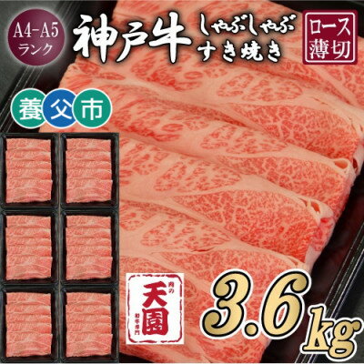 【ふるさと納税】【毎月定期便】【ふるさと納税】神戸牛 霜降り 肩ロース しゃぶしゃぶすき焼き600g×全6回【配送不可地域：離島】【4083897】