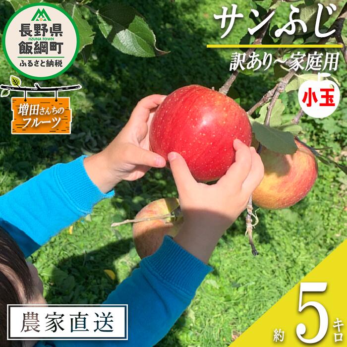 【ふるさと納税】 りんご サンふじ 家庭用 ( 小玉 ) 5kg 増田さんちのりんご 沖縄県への配送不可 令和7年度収穫分 長野県 飯綱町 〔 信州 果物 フルーツ リンゴ 林檎 長野 予約 農家直送 13000円 〕発送時期：2025年11月下旬〜2026年2月上旬