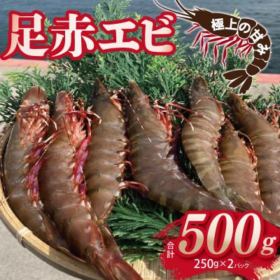 ふるさと納税 泉佐野市 足赤エビ 500g【国産 天然 ぷりぷり 水揚げ 生食可】015B593