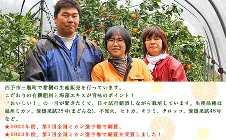 紅まどんなと同品種！＜とびっきりの愛媛 まどんな（3玉）＞ マドンナ 愛媛果試第28号 果物 柑橘 フルーツ 期間 旬 季節限定 特産品 産地直送 片山果樹園 西宇和 愛媛県 西予市【常温】『2024